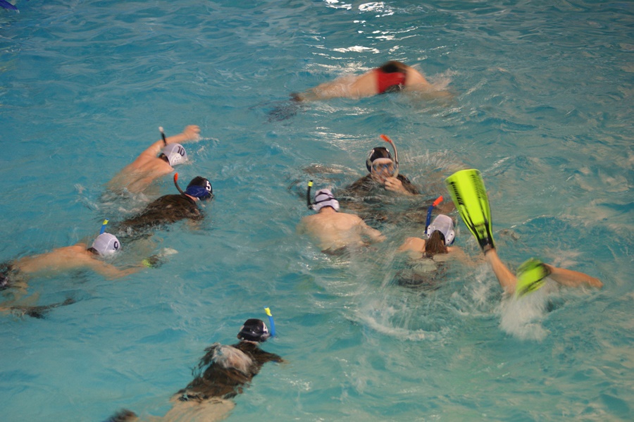 Hokej pod wodą Walenie Auqarius IV 2012